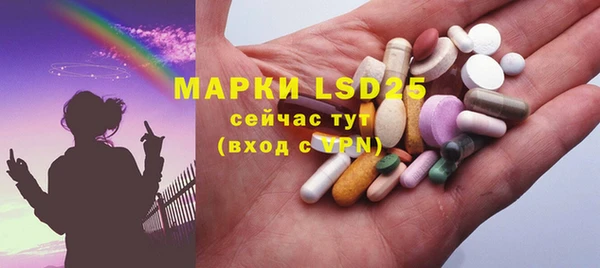 ешки Аркадак