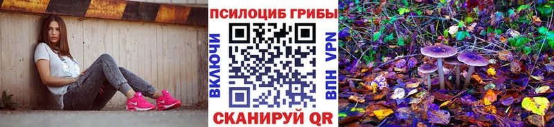 Галлюциногенные грибы ЛСД  Новошахтинск 